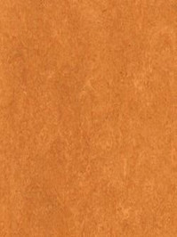 waml174-121b Armstrong Marmorette LPX  Linoleum physalis...