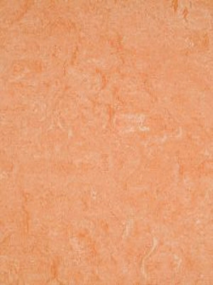 waml075-121b DLW Marmorette Neocare Linoleum light...