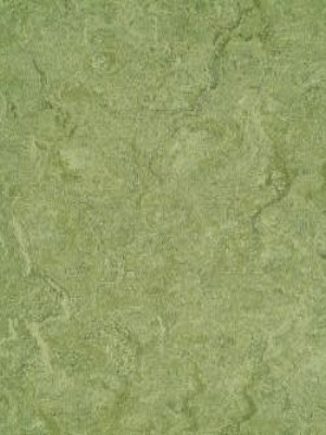 waml100-121b DLW Marmorette Neocare Linoleum frog green,...