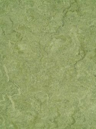 waml100-121b DLW Marmorette Neocare Linoleum frog green,...