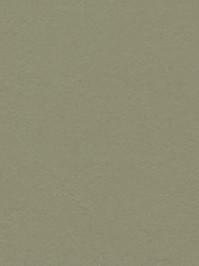 wfwc3355 Forbo Linoleum Uni rosemary green Marmoleum Walton