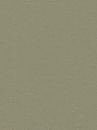 wfwc3355 Forbo Linoleum Uni rosemary green Marmoleum Walton