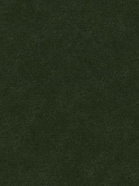 wfwc3359 Forbo Linoleum Uni bottle green Marmoleum Walton
