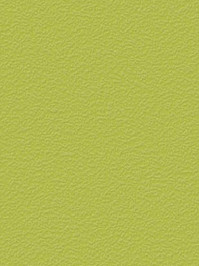 wmugr525 Profilor Messe Uni-Grip unicolor CV-Belag grün...