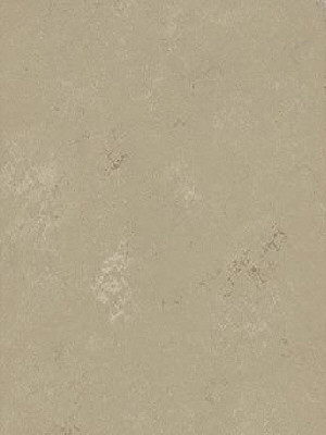 wmmt3720a Forbo Marmoleum Modular Linoleum Sandy cost Shade