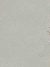 wmmt3717c Forbo Marmoleum Modular Linoleum Neptune Shade...