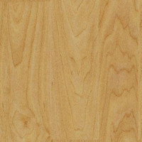 w6381ge Gerflor Taraflex Sportboden Ahorn Design Braun M...