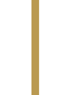 5754AKZ Objectflor Akzentstreifen Gold Design Akzentstreifen, 2,0/2,5/3,0mm Gesamtdicke, Pack = 50Stk (lieferbar nur in Verbindung mit Bodenbelag)