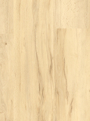 Karndean Conceptline Vinyl Designbelag Lakeshore Beech Vinylboden zum Verkleben wka3029