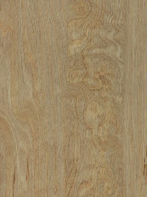 Amtico First Vinyl Designbelag Bleached Elm Wood Designbelag, Kanten gefast wSF3W2516