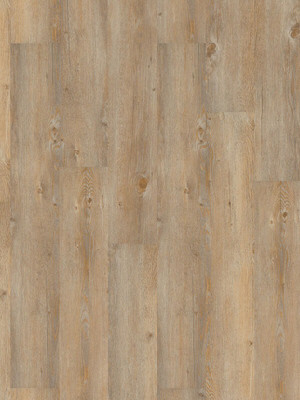 Wineo 600 Wood Designbelag Toscany Pine Vinylboden zum verkleben wDB00007