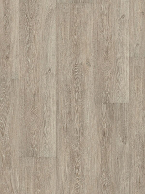 Wineo 600 Wood XL Designbelag Victoria Oak Grey Vinylboden zum verkleben wDB00030