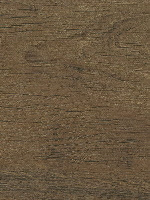 Muster: m-wSS5W2513 Amtico Spacia Vinyl Designbelag Wood zum Verkleben, Kanten gefast Rustic Barn Wood