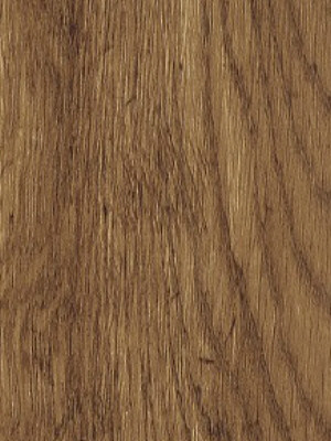 Muster: m-wka3046 Karndean Conceptline Vinyl Designbelag Planken zum Verkleben Rustic Oak gold