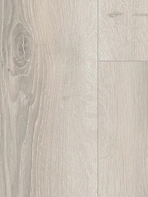 wP1593828 Parador Basic 600 Laminat Eiche Askada wei...