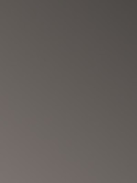 Nora Noraplan uni Kautschuk Fliesen 2451 Gummi...