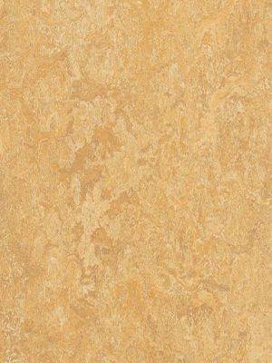 wmr3173-2,5 Forbo Marmoleum Real van gogh Linoleum Naturboden