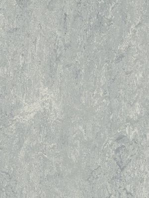 wmr2621-2,5 Forbo Marmoleum Real dove grey Linoleum...