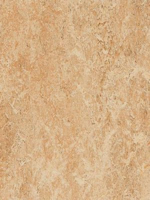 wmr3075-2,5 Forbo Marmoleum Real shell Linoleum Naturboden