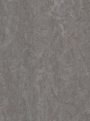 wmr3137-2,5 Forbo Marmoleum Real slate grey Linoleum...