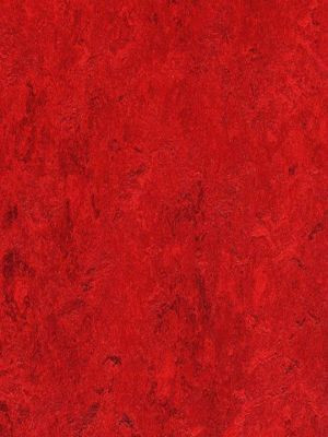 wmr3127-2,5 Forbo Marmoleum Real Bleeckstreet Linoleum...