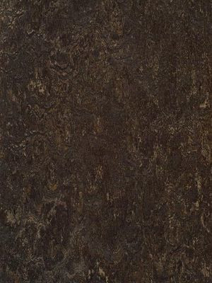 wmr3236-2,5 Forbo Marmoleum Real dark bistre Linoleum...