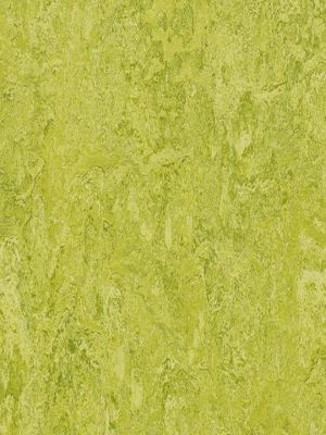 wmr3224-2,5 Forbo Marmoleum Real chartreuse Linoleum Naturboden