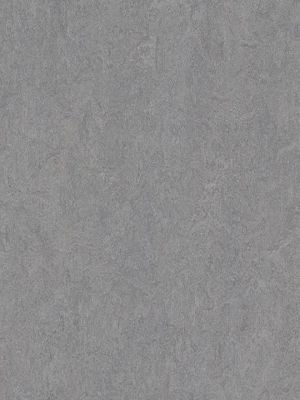 wmf3866-2,5 Forbo Marmoleum Fresco eternity Linoleum Naturboden