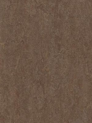 wmf3874-2,5 Forbo Marmoleum Fresco walnut Linoleum Naturboden