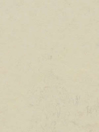 wfwco3701 Forbo Linoleum Uni moon Marmoleum Concrete