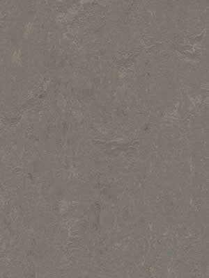 wfwco3705 Forbo Linoleum Uni meteorite Marmoleum Concrete