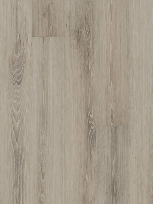 wmp22147c Moduleo Primero 30 Click Vinyl Evergreen Oak Designbelag Wood Planken Klicksystem