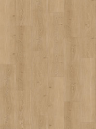 wP1601102 Parador Trendtime 6 Laminat Eiche Studioline...