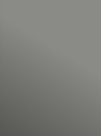 Profilor Trendy Messe CV-Belag grau PVC-Boden unicolor...