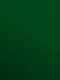 Profilor Trendy Messe CV-Belag dunkelgr�n PVC-Boden...