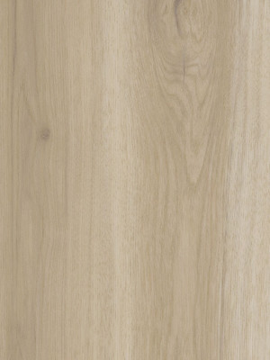 Amtico Spacia Vinyl Designbelag Eden Oak Wood zum...
