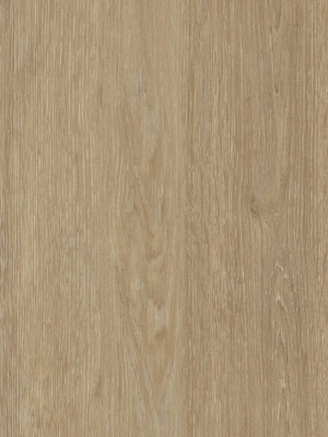 Amtico Spacia Vinyl Designbelag Limed Wood Natural Wood zum Verkleben, Kanten gefast wSS5W2549a