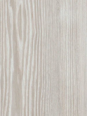 Amtico First Vinyl Designbelag White Ash Wood Designbelag, Kanten gefast wSF3W2540