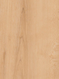 Amtico First Vinyl Designbelag Warm Maple Wood...