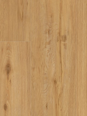 Parador Basic 30 Vinyl Parkett Eiche Natur gebürstete...