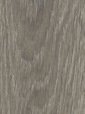 Forbo Allura 0.55 grey giant oak Commercial Designbelag Wood zum verkleben wfa-w60280-055