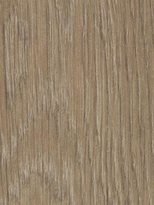 Forbo Allura 0.55 dark giant oak Commercial Designbelag Wood zum verkleben wfa-w60282-055