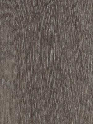 Forbo Allura 0.55 grey collage oak Commercial Designbelag Wood zum verkleben wfa-w60375-055