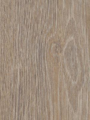 Forbo Allura 0.55 steamed oak Commercial Designbelag Wood zum verkleben wfa-w60293-055