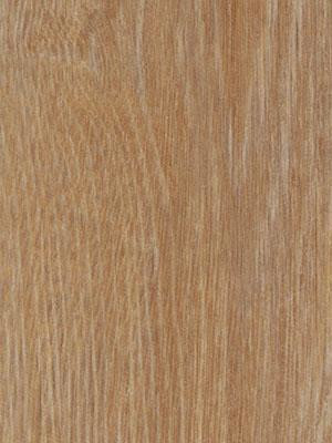 Forbo Allura 0.55 pure oak Commercial Designbelag Wood zum verkleben wfa-w60295-055