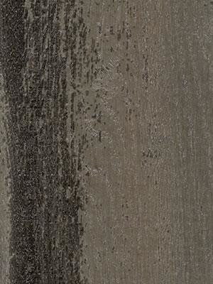 Forbo Allura 0.55 black pine Commercial Designbelag Wood zum verkleben wfa-w60664-055