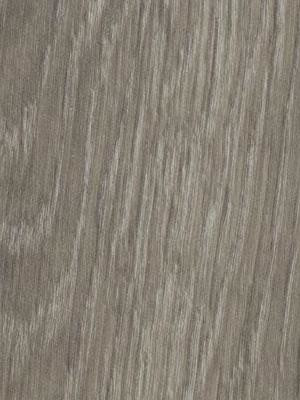 Forbo Allura 0.40 grey giant oak Domestic Designbelag Wood zum Verkleben wfa-w66280-040