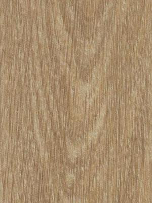 Forbo Allura 0.40 natural giant oak Domestic Designbelag Wood zum Verkleben wfa-w66284-040