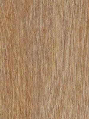 Forbo Allura 0.40 pure oak Domestic Designbelag Wood zum Verkleben wfa-w66295-040