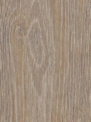 Forbo Allura 0.40 steamed oak Domestic Designbelag Wood...